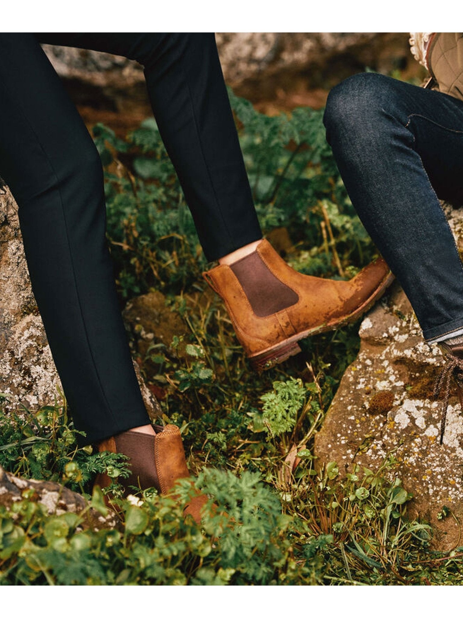 Ariat Wexford Waterproof Ladies Country Chelsea Boot / Dealer Womens