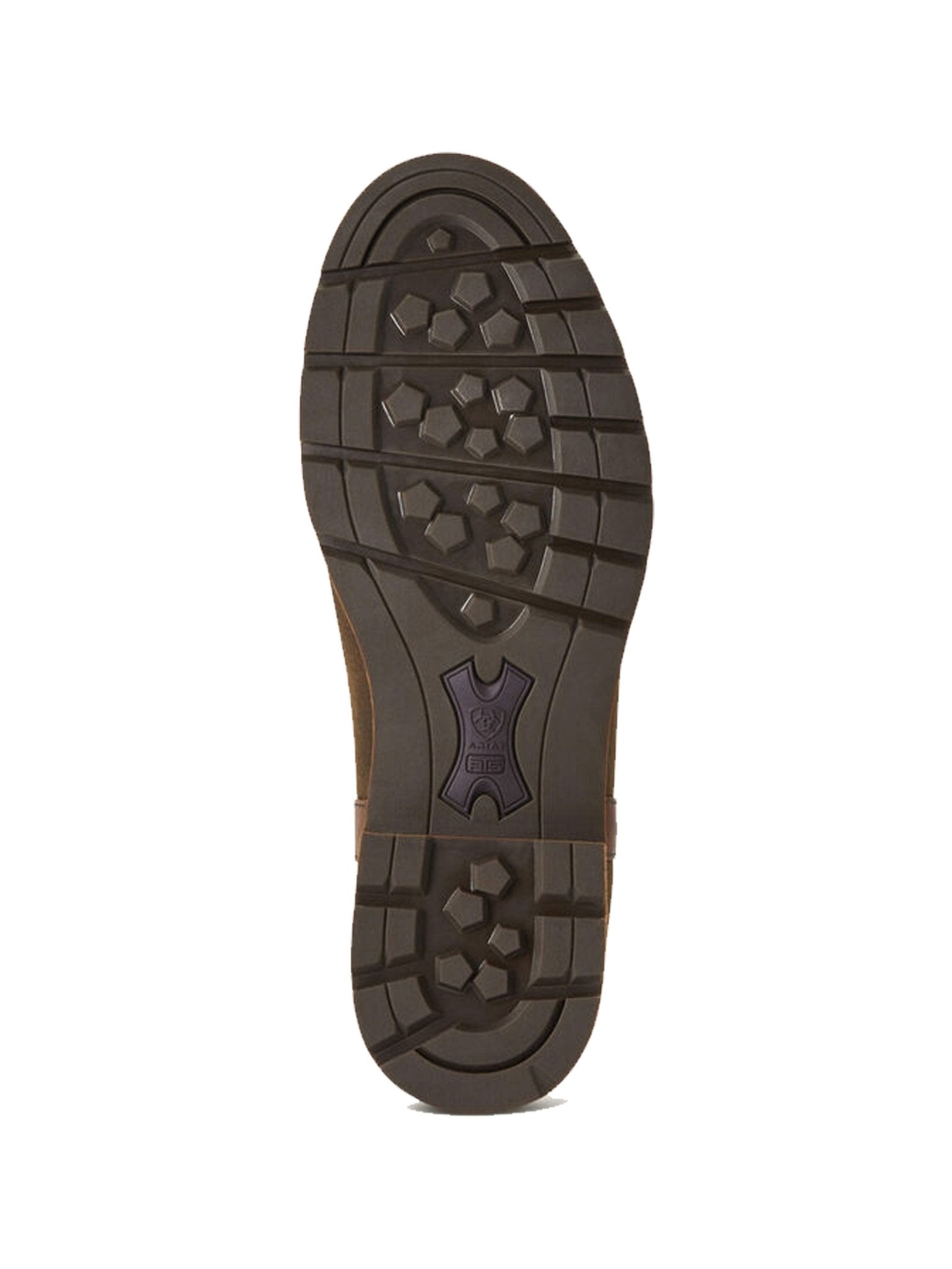 Ariat Wexford Waterproof Ladies Country Chelsea Boot / Dealer Womens