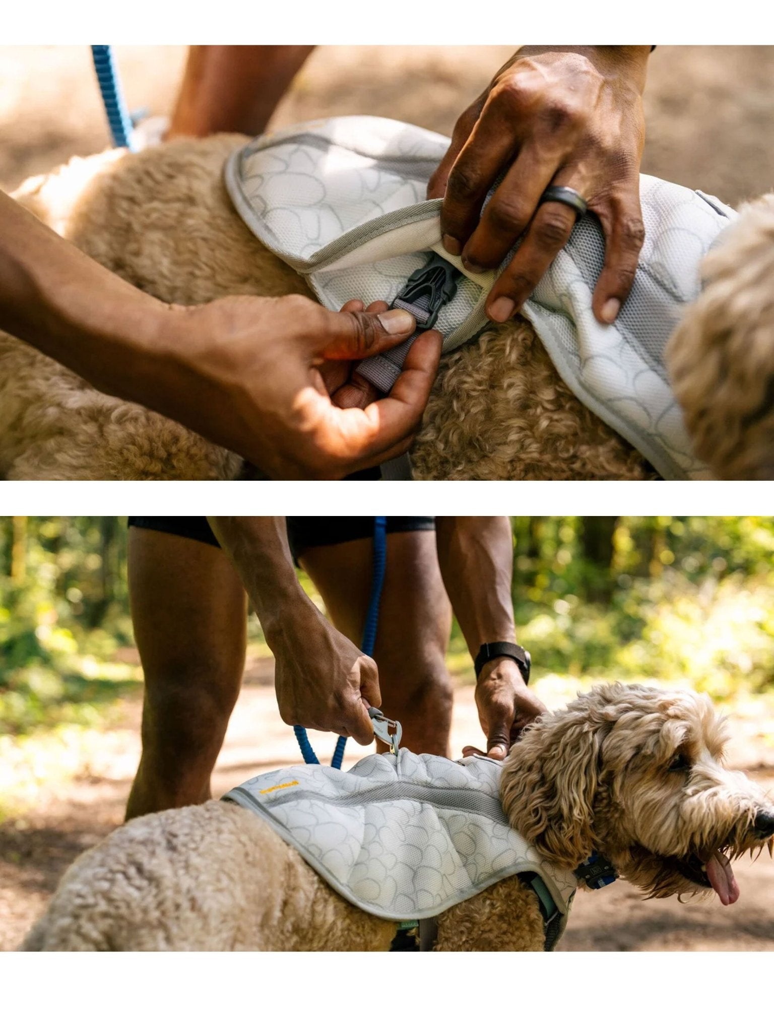 Ruffwear - Swamp Cooler™ Premium Dog Cooling Vest - Buckle Version