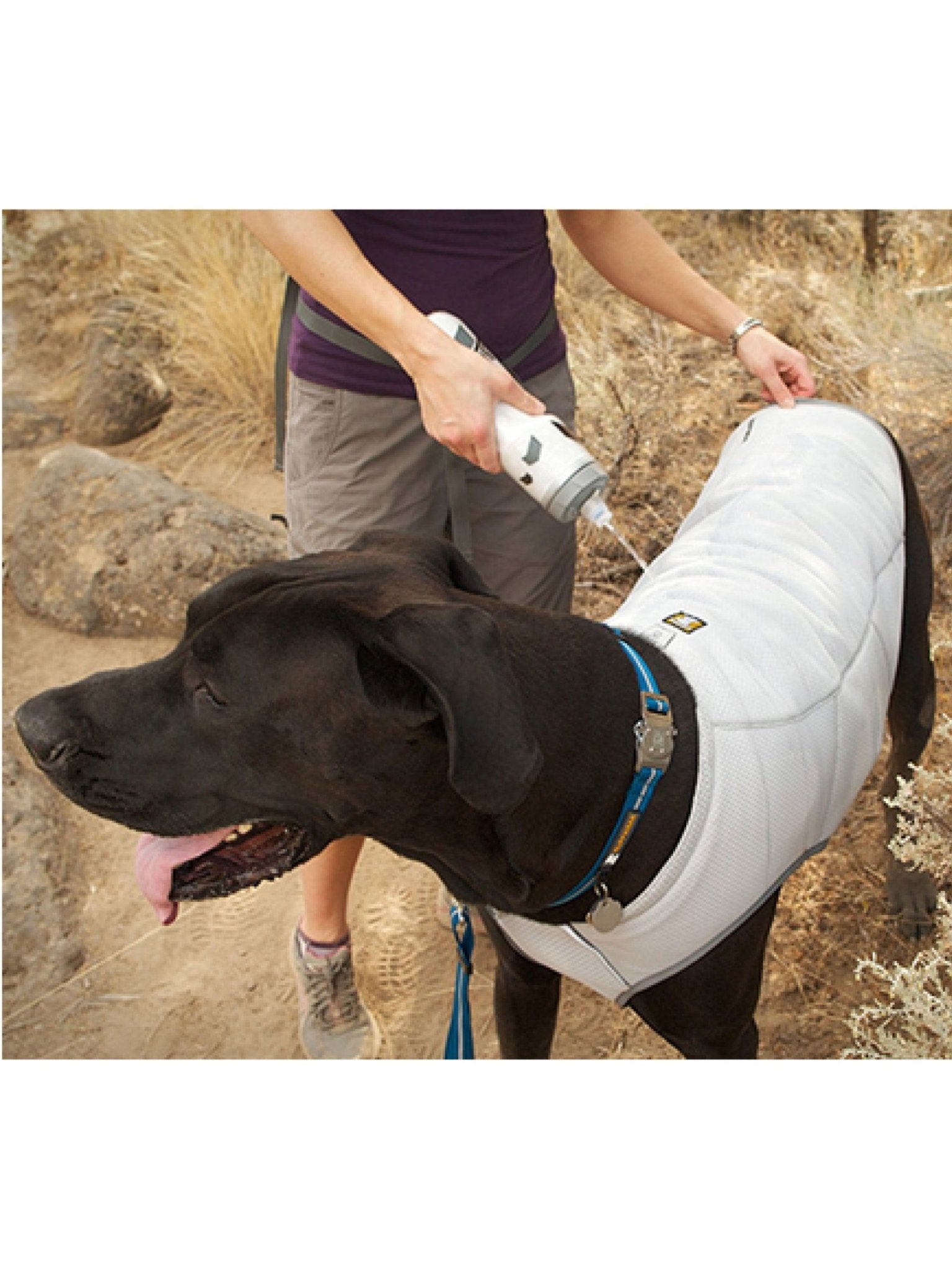Ruffwear - Swamp Cooler™ Premium Dog Cooling Vest - Zip version