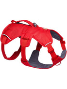 Ruffwear - Web Master Dog Harness, Padded, Multi - use, Anti - escape Dog Harness with lifting Handle, 2 Lead Attachments
