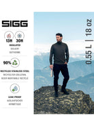 SIGG - Thermo Flask Hot & Cold ONE Brushed 0.3 Litre