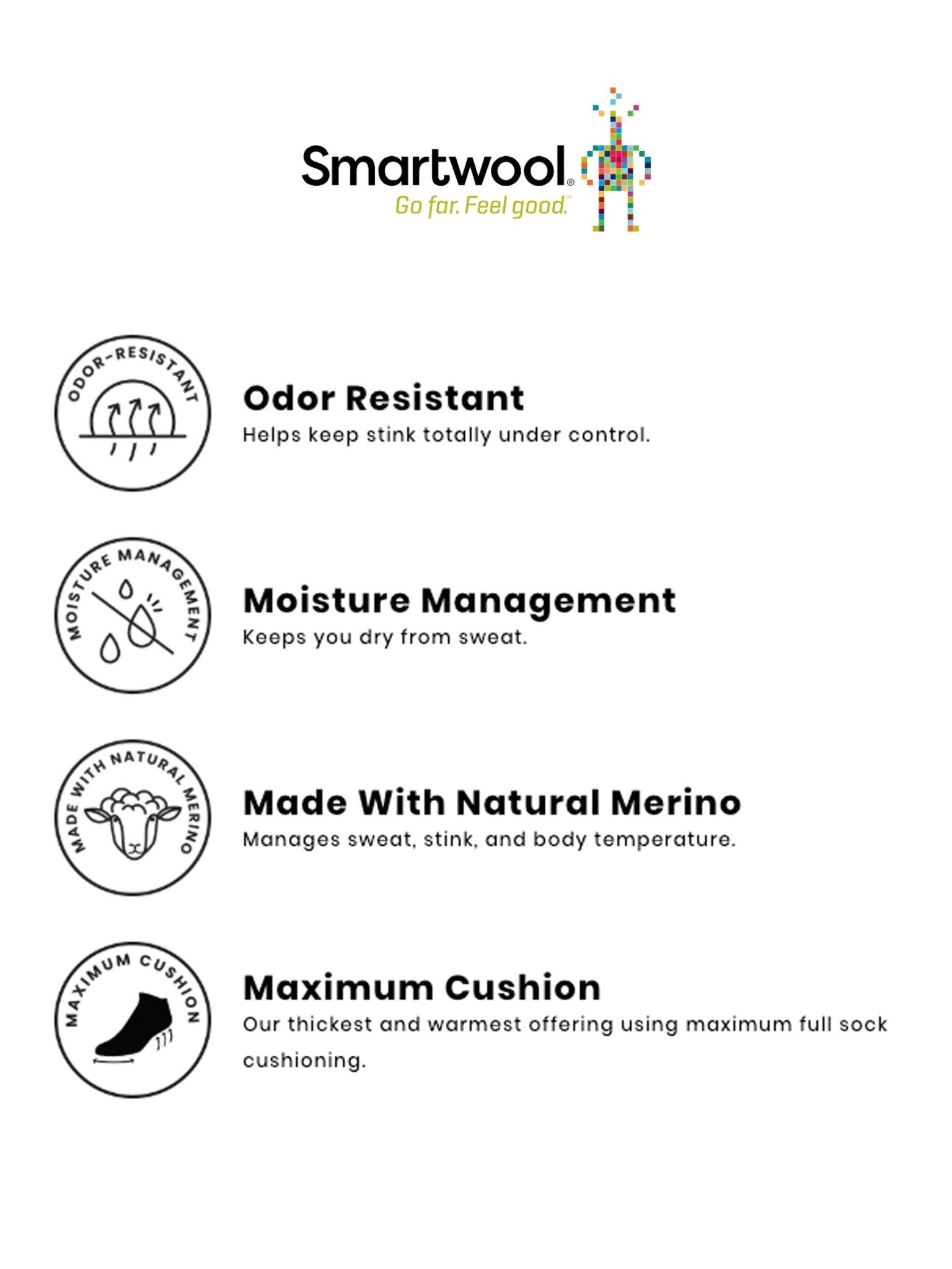 Smartwool - Smartwool Hike Light Cushion Ankle Socks - SW0016110031