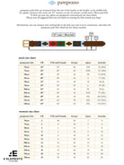 Pampeano - Polo Belt - Mens Hermoso Pampeano Belt