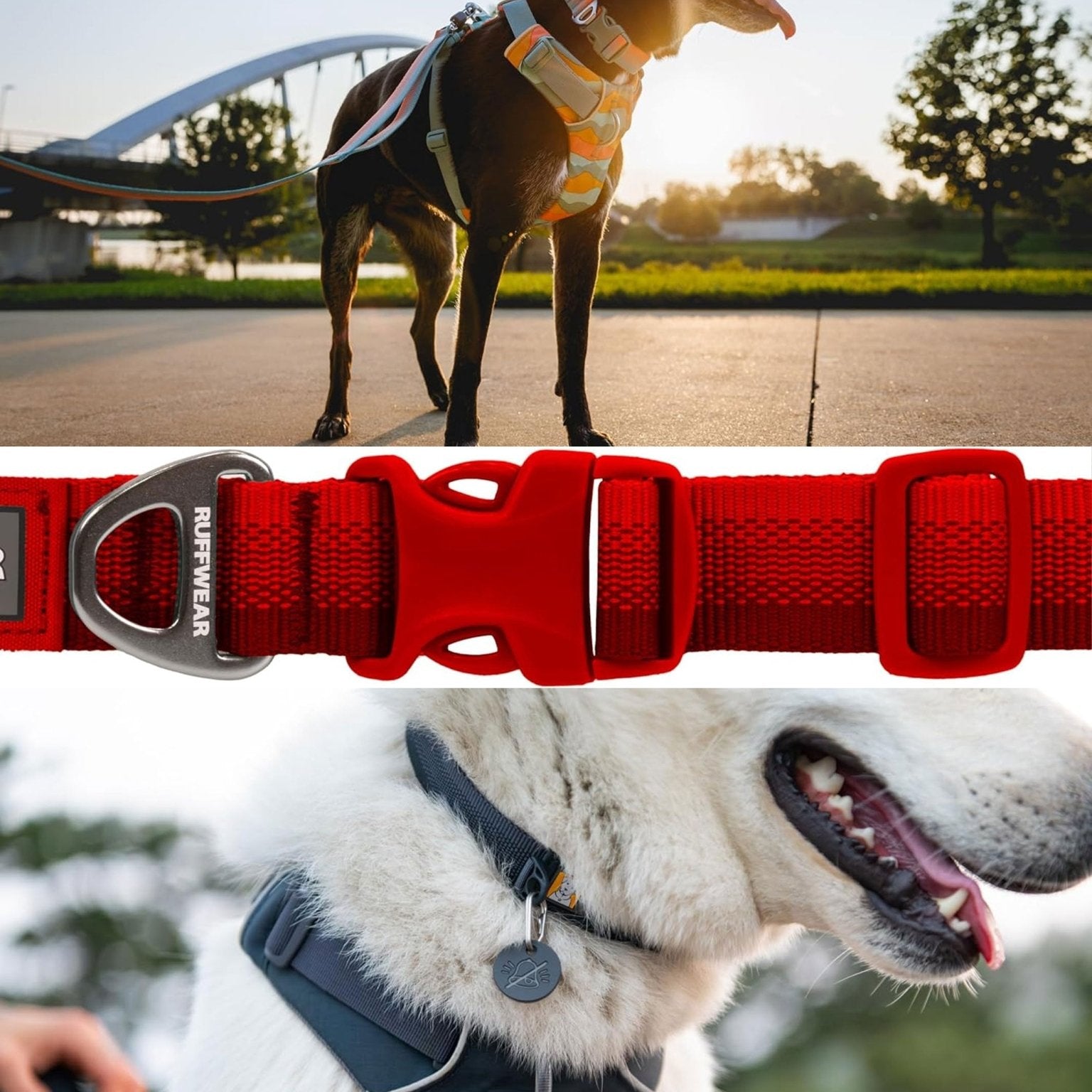 Ruffwear - Front Range Dog Collar, with Aluminium V - Ring, Adjustable Pet Dog Collar, Comfortable Soft Fabric, Collar with Dog Lead Attachment Ring