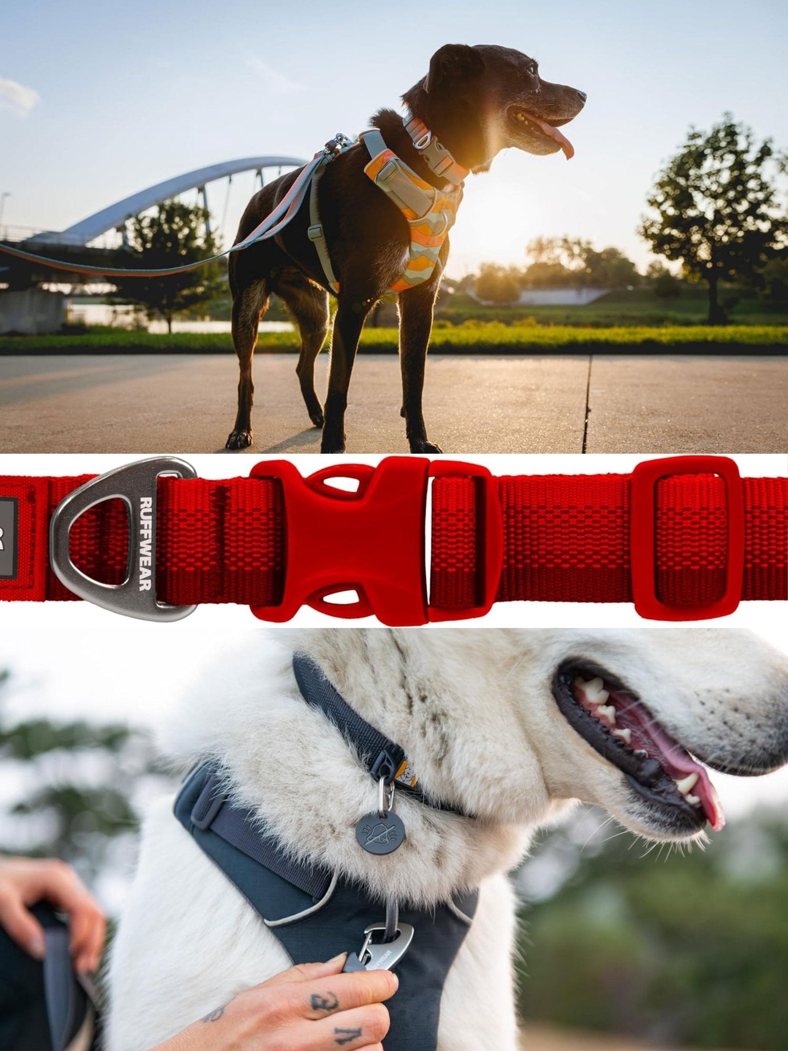 Ruffwear - Front Range Dog Collar, with Aluminium V - Ring, Adjustable Pet Dog Collar, Comfortable Soft Fabric, Collar with Dog Lead Attachment Ring