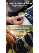 Ruffwear - Front Range Dog Harness, Reflective Y Harness, Adjustable Comfortable Padded Everyday Harness, 2 Lead Attachments & V Ring