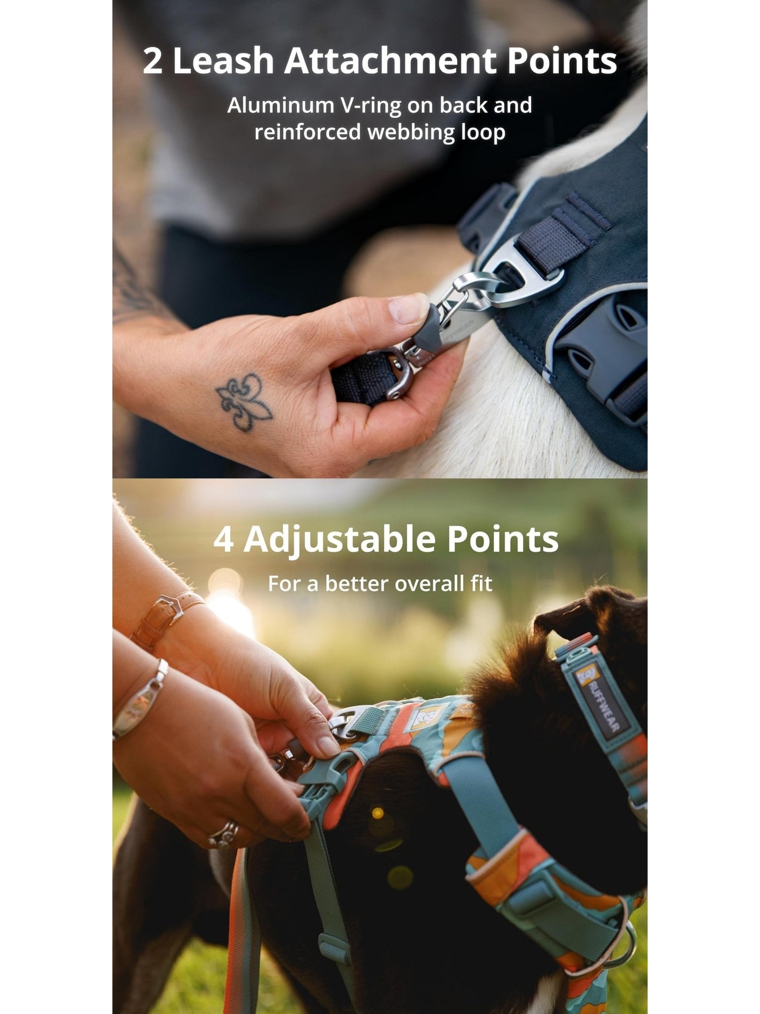 Ruffwear - Front Range Dog Harness, Reflective Y Harness, Adjustable Comfortable Padded Everyday Harness, 2 Lead Attachments & V Ring