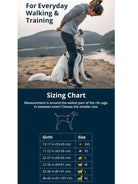 Ruffwear - Front Range Dog Harness, Reflective Y Harness, Adjustable Comfortable Padded Everyday Harness, 2 Lead Attachments & V Ring