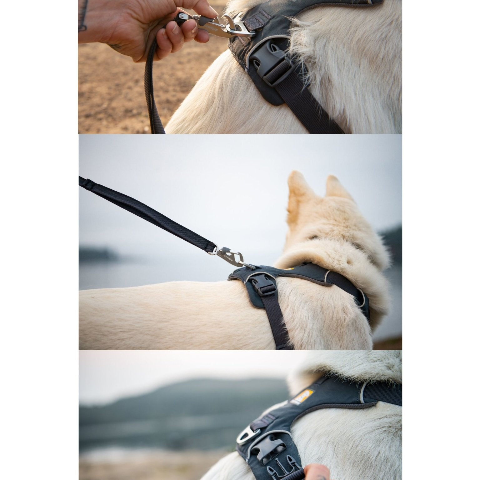 Ruffwear - Front Range Dog Harness, Reflective Y Harness, Adjustable Comfortable Padded Everyday Harness, 2 Lead Attachments & V Ring