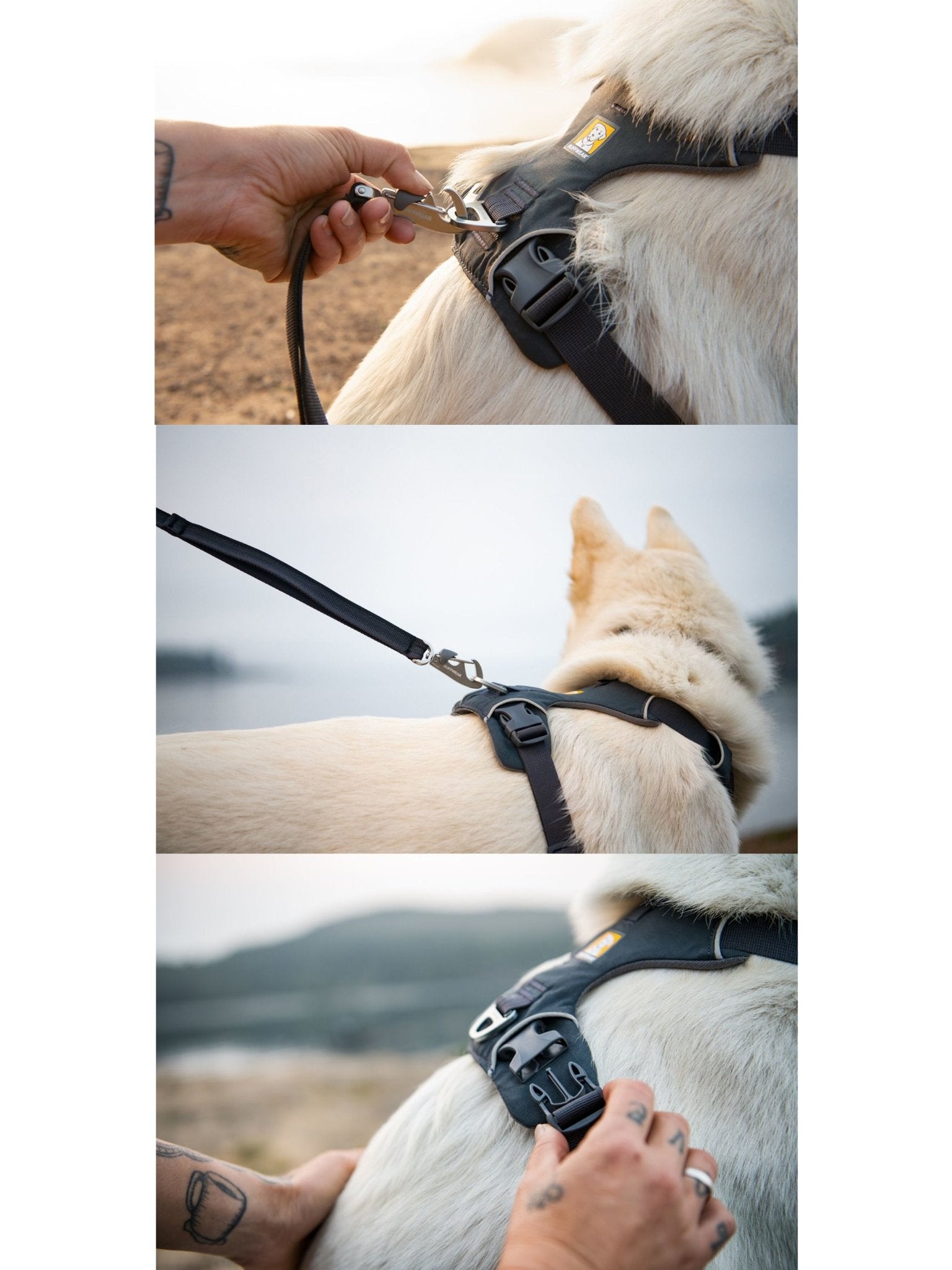 Ruffwear - Front Range Dog Harness, Reflective Y Harness, Adjustable Comfortable Padded Everyday Harness, 2 Lead Attachments & V Ring