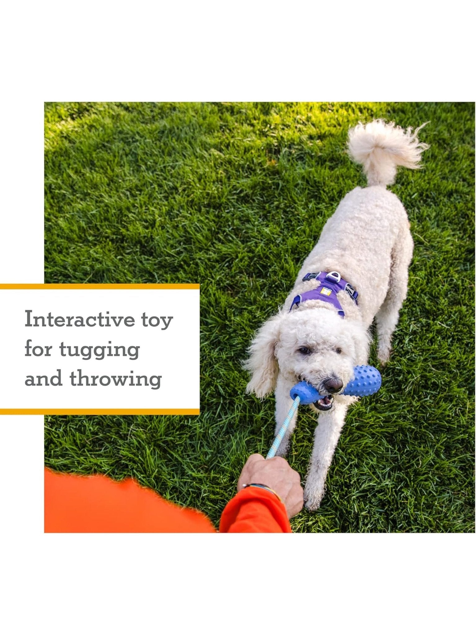 Ruffwear - Gourdo™ Rubber Throw Toy - Interactive Rubber Toy for dogs / Dog Toy