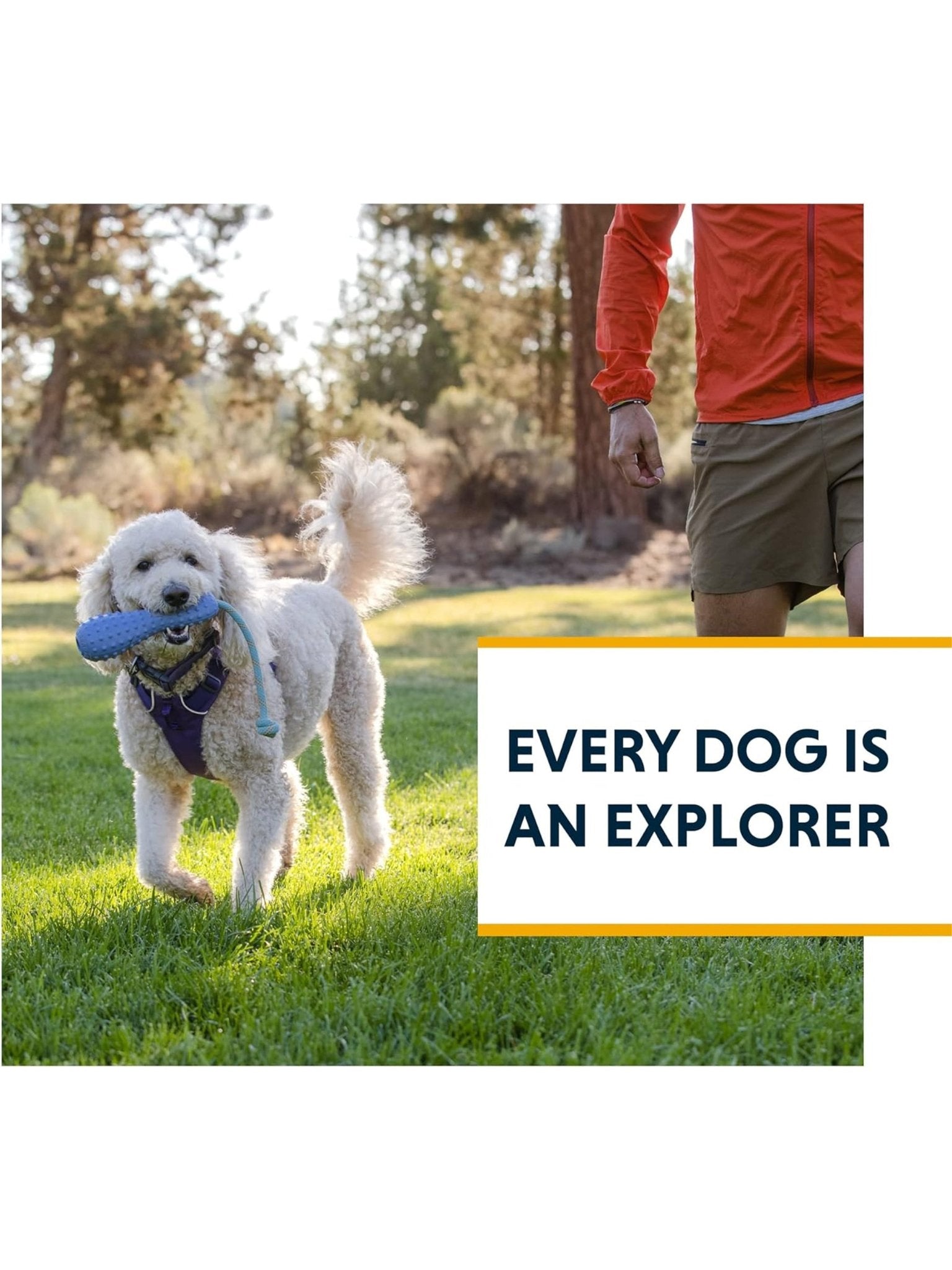 Ruffwear - Gourdo™ Rubber Throw Toy - Interactive Rubber Toy for dogs / Dog Toy