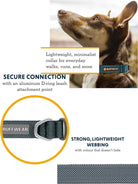 Ruffwear - Hi & Light Collar, Dog Collar with Aluminium D - Ring, Adjustable & Lightweight Dog Collar with Dog Lead Attachment Ring