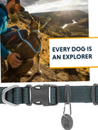 Ruffwear - Hi & Light Collar, Dog Collar with Aluminium D - Ring, Adjustable & Lightweight Dog Collar with Dog Lead Attachment Ring