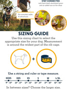 Ruffwear - Hi & Light Dog Harness, Reflective Y Shaped Dog Harnesses, Lightweight Adjustable & Padded No Pull Harness for Dogs