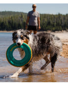 Ruffwear - Hydro Plane™ Floating Throw Dog Toy - High Floating Soft Foam Disc dog toys