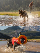 Ruffwear - Hydro Plane™ Floating Throw Dog Toy - High Floating Soft Foam Disc dog toys