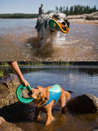 Ruffwear - Hydro Plane™ Floating Throw Dog Toy - High Floating Soft Foam Disc dog toys