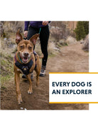 Ruffwear - Web Master Dog Harness, Padded, Multi - use, Anti - escape Dog Harness with lifting Handle, 2 Lead Attachments