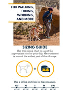 Ruffwear - Web Master Dog Harness, Padded, Multi - use, Anti - escape Dog Harness with lifting Handle, 2 Lead Attachments