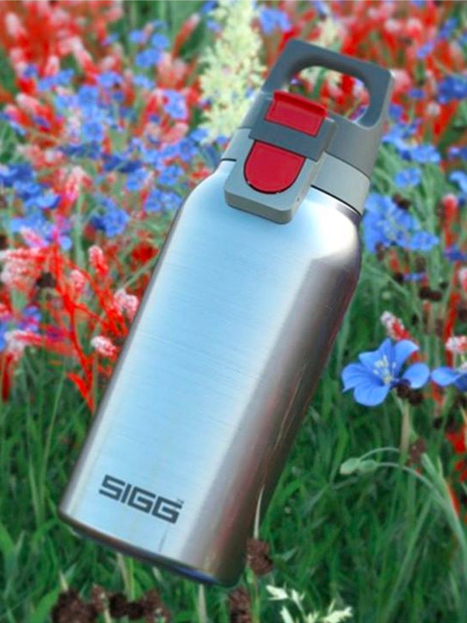 SIGG - Thermo Flask Hot & Cold ONE Brushed 0.3 Litre