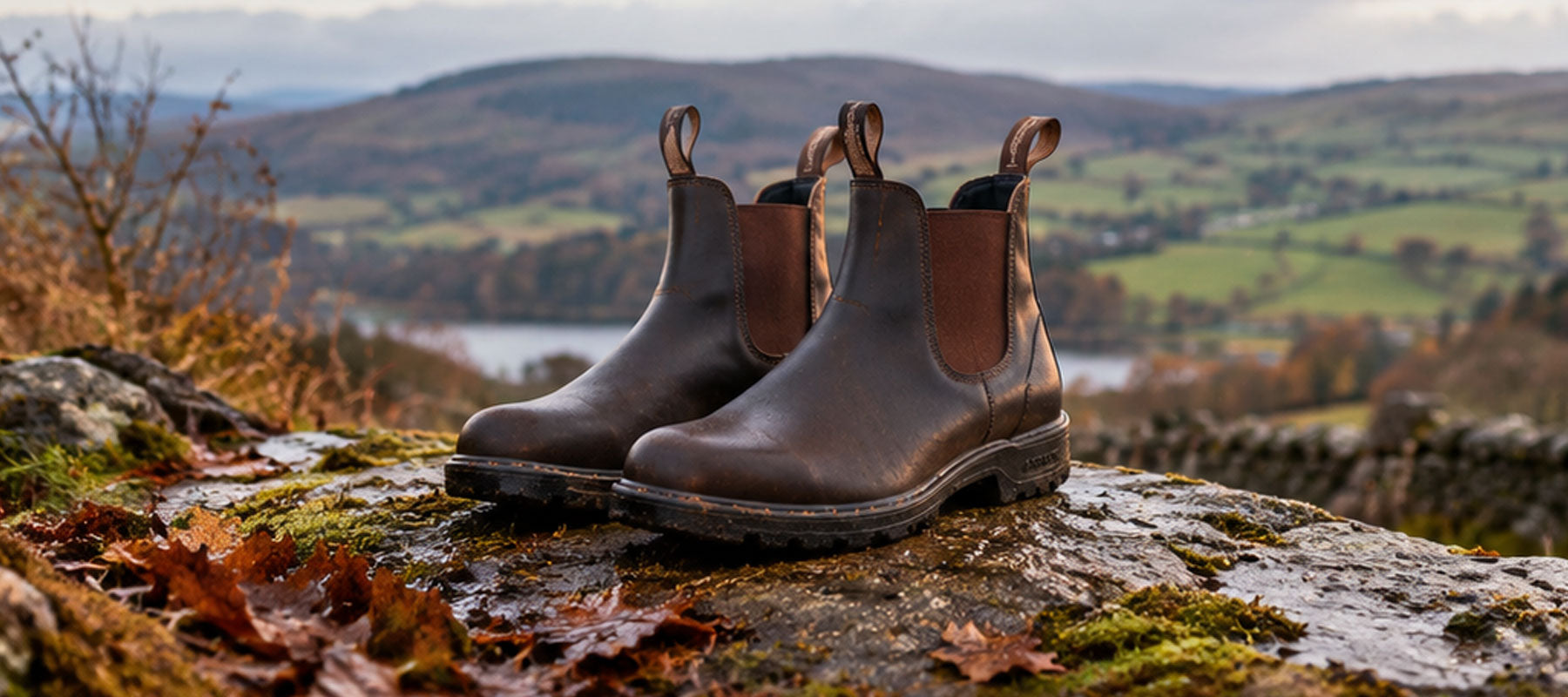 Pair of brown Blundstone Chelsea boots on a rock with autumn countryside behind